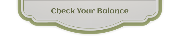 Check E Card Balance